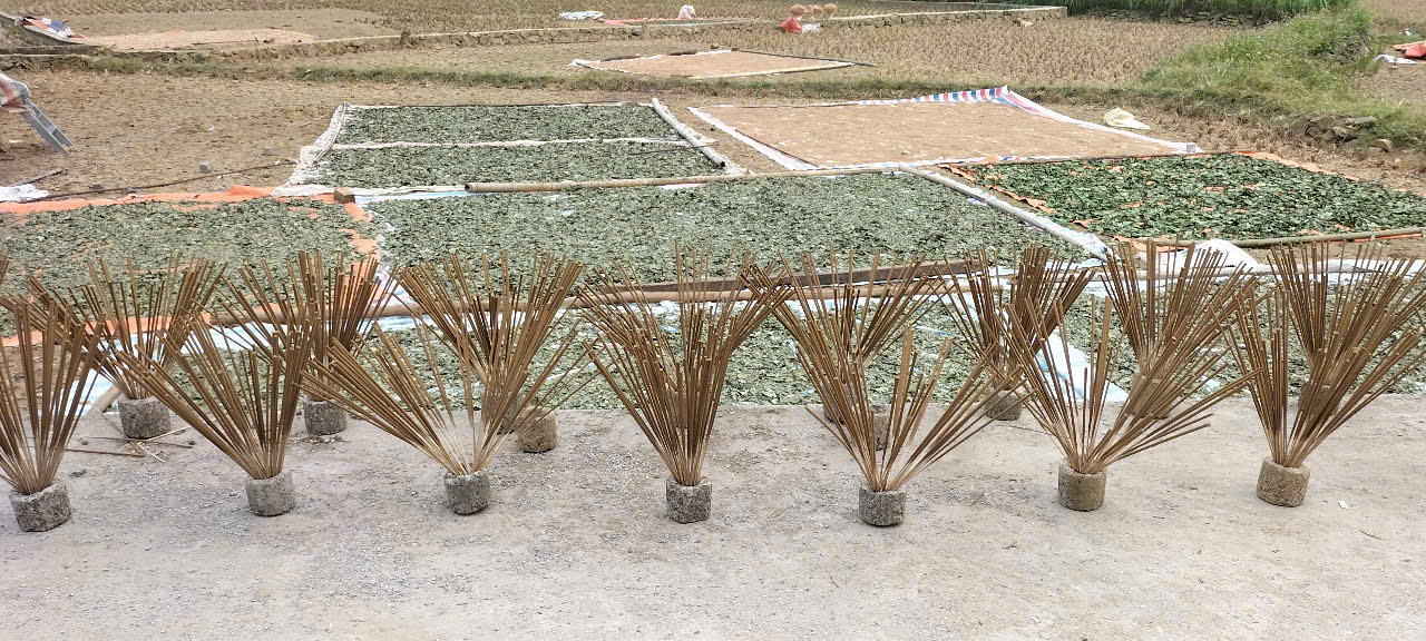 Huế