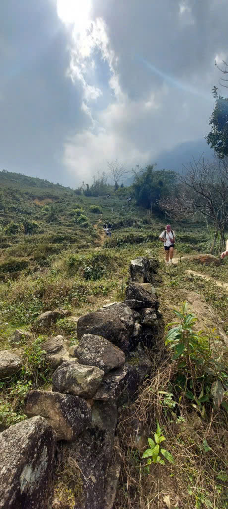 Sapa